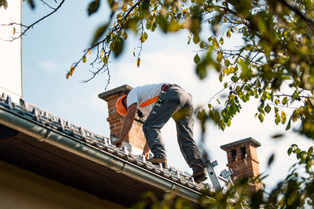 Best Roof Waterproofing Services  in Curtice, OH
