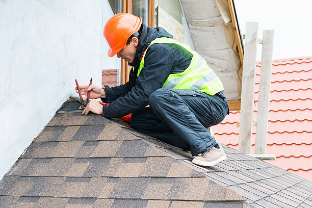Best Storm Damage Roof Repair  in Curtice, OH
