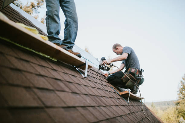 Gutter Installation and Roofing in Curtice, OH